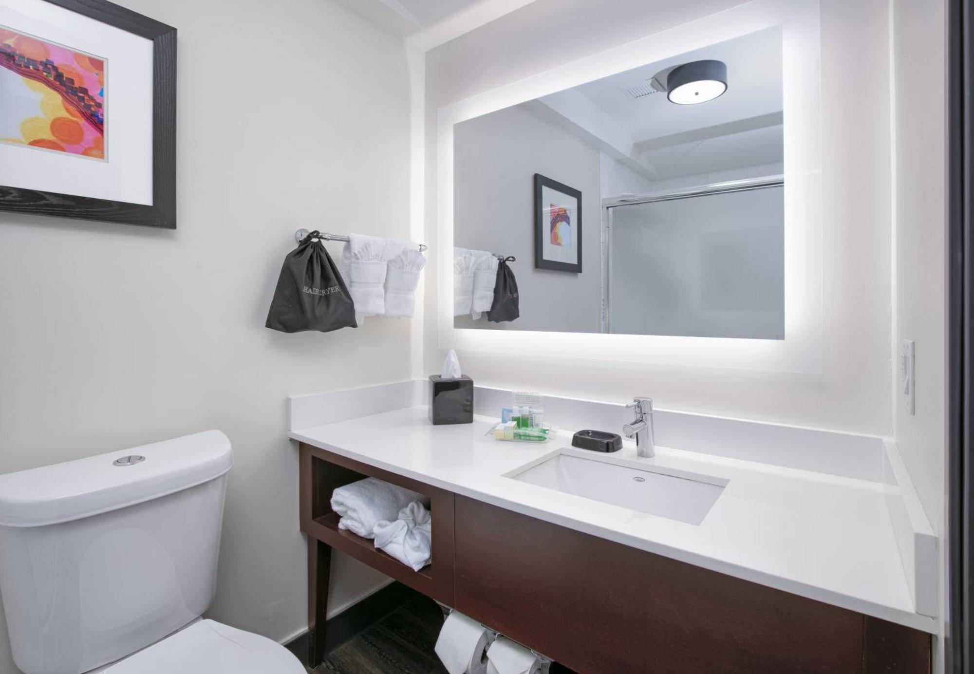 Holiday Inn Dallas - Fort Worth Airport South By Ihg Kültér fotó